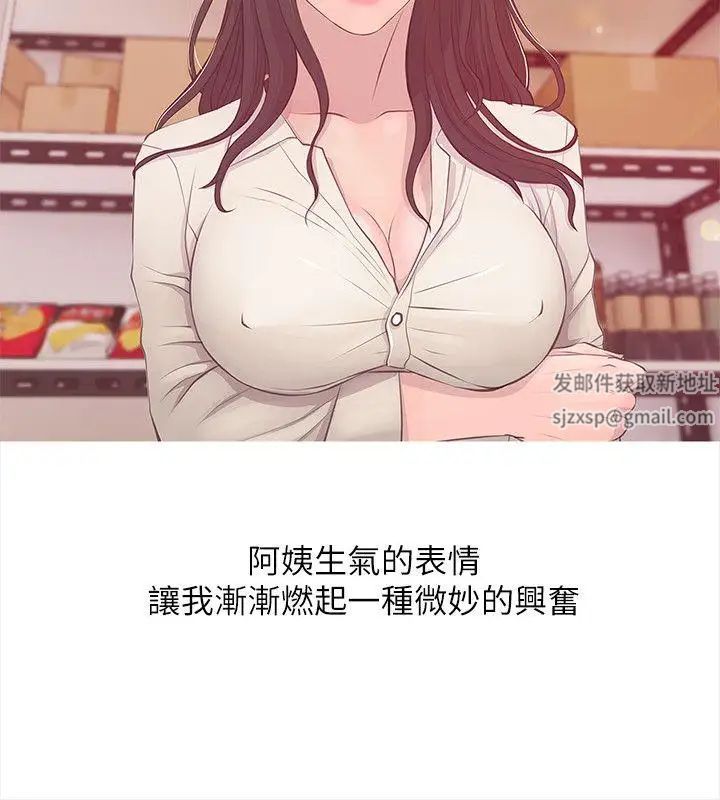 《阿姨的秘密情事》漫画最新章节第18话 - 阿姨的奴隶?免费下拉式在线观看章节第【4】张图片