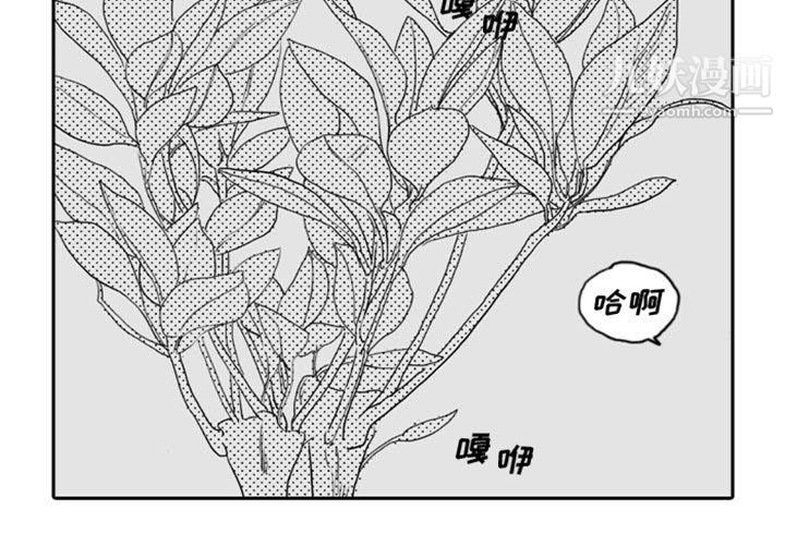 《独恋你的微笑》漫画最新章节第8话免费下拉式在线观看章节第【3】张图片