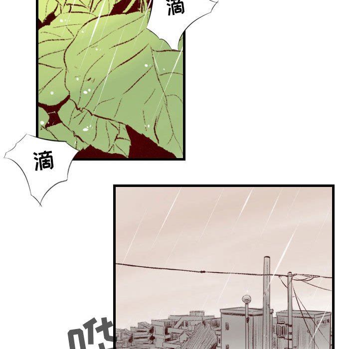 《堕落城市》漫画最新章节第33话免费下拉式在线观看章节第【52】张图片