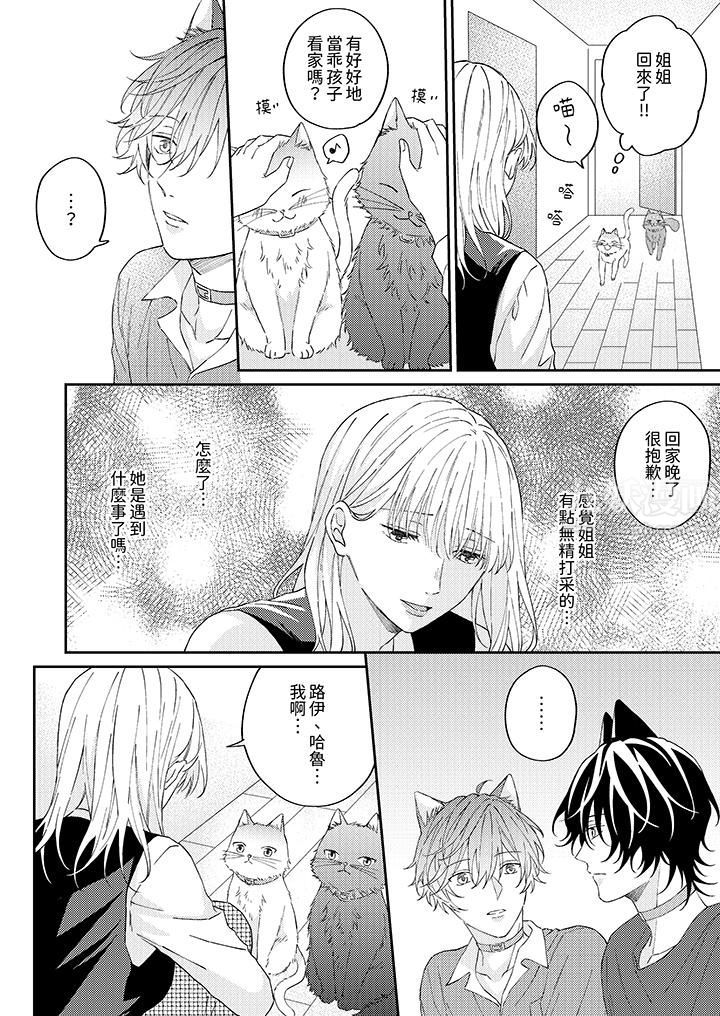 《哈鲁和路伊的二喵世界lovelife！》漫画最新章节第8话免费下拉式在线观看章节第【9】张图片