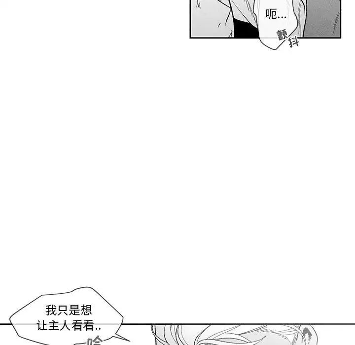 《墓志铭》漫画最新章节第17话免费下拉式在线观看章节第【11】张图片