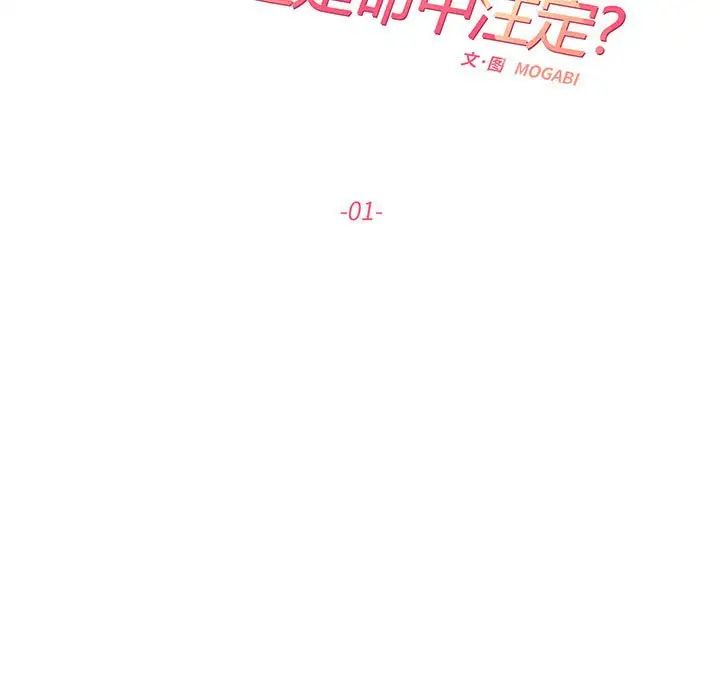 《这难道是命中注定》漫画最新章节第1话免费下拉式在线观看章节第【19】张图片