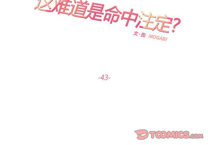 《这难道是命中注定》漫画最新章节第43话免费下拉式在线观看章节第【2】张图片