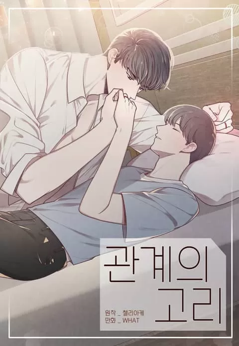 羁绊之环/命运指环/命定之环